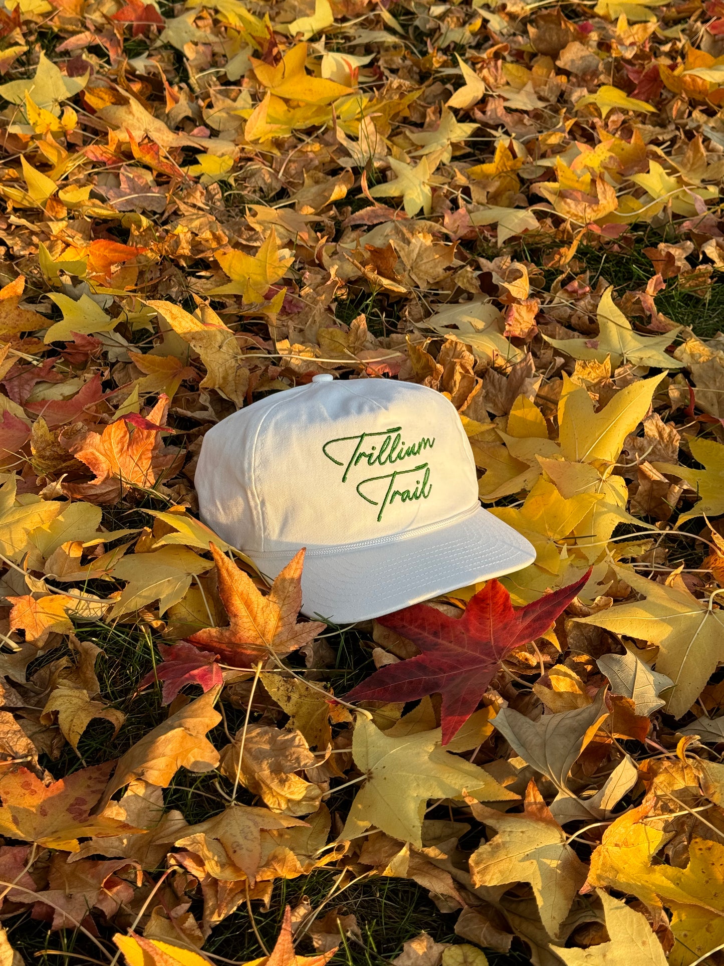 Signature Hat - Cotton Twill