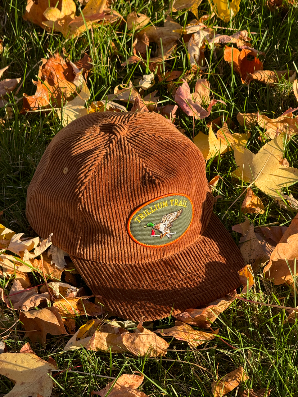 Corduroy Patch Hat